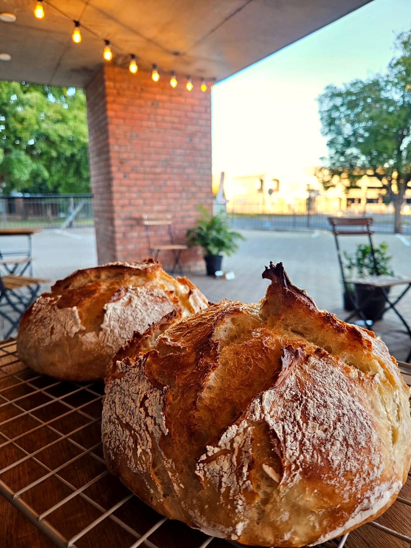 Fresh sourdough loaves