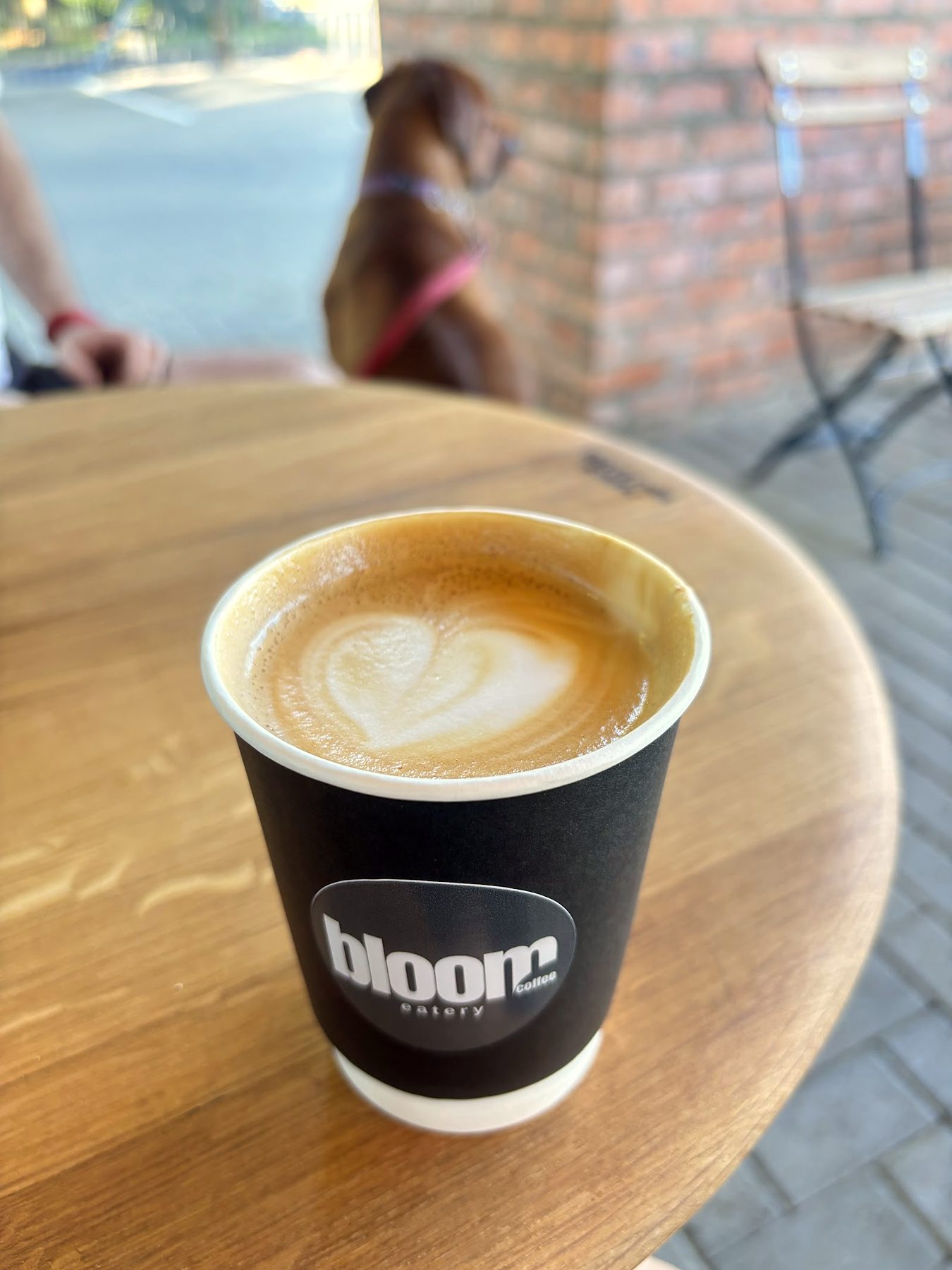 Cappuccino in a Bloom cup